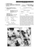 Process for Production of (Co)Polyamide Nanocomposite Materials diagram and image