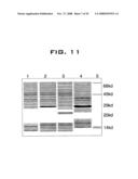 Nanoscale Neuromodulating Platform For Retina Neuron Activation Apparatus and Method diagram and image