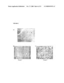 Fibrous Protein Fusions and Use Thereof in the Formation of Advanced Organic/Inorganic Composite Materials diagram and image