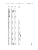 Production and Use of Novel Peptide-Based Agents for Use with Bi-Specific Antibodies diagram and image