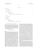 Production and Use of Novel Peptide-Based Agents for Use with Bi-Specific Antibodies diagram and image