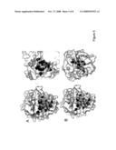 CRYSTAL STRUCTURE OF THE COMPLEX OF HEPATOCYTE GROWTH FACTOR BETA CHAIN WITH MET RECEPTOR AND METHODS OF USE diagram and image