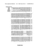 Cytochrom P450 oxygenases diagram and image