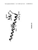 Cytochrom P450 oxygenases diagram and image