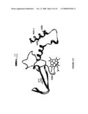 Cytochrom P450 oxygenases diagram and image