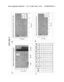 3  end tagged oligonucleotides diagram and image