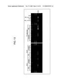 Methods and compositions for the removal of nucleic acid amplification inhibitors diagram and image