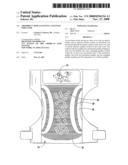 Absorbent article having a wetness indicator diagram and image