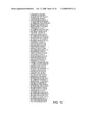 System, software and method for estimating the glycemic load of foods diagram and image