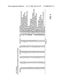 System, software and method for estimating the glycemic load of foods diagram and image