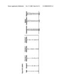 PROGRAMMED SYSTEM AND METHOD FOR CONSTRUCTING AN INDEX diagram and image