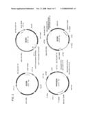 Soybean promoters LTP2 and flower-preferred expression thereof in transgenic plants diagram and image