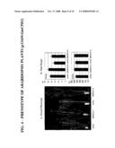 P450 Polynucleotides, Polypeptides, and Uses Thereof diagram and image