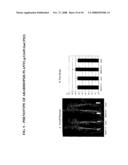 P450 Polynucleotides, Polypeptides, and Uses Thereof diagram and image