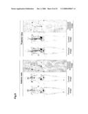 Computer-Aided Method for Detection of Interval Changes in Successive Whole-Body Bone Scans and Related Computer Program Program Product and System diagram and image