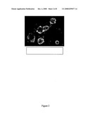 ISOLATION AND GROWTH OF STEM CELLS FROM HEMANGIOMAS diagram and image