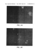 Cryptosporidium parvum antigens, antibodies thereof and diagnostic and therapeutic compositions thereof diagram and image