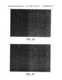 Cryptosporidium parvum antigens, antibodies thereof and diagnostic and therapeutic compositions thereof diagram and image