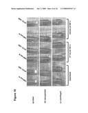 Microalgae-Derived Compositions For Improving The Health And Appearance Of Skin diagram and image