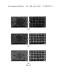 Process and Apparatus for Organic Vapor Jet Deposition diagram and image