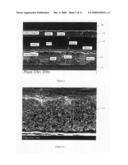 MEMBRANE ELECTRODE ASSEMBLY FOR FUEL CELL diagram and image