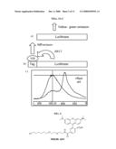 Red-Shifted Luciferase diagram and image