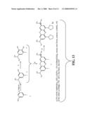 Red-Shifted Luciferase diagram and image