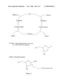 METHOD FOR THE IN VIVO MODIFICATION OF THE SYNTHESIS ACTIVITY OF A METABOLITE BY MEANS OF THE MODIFICATION OF A GENE THE ACTIVITY OF WHICH IS NOT THE ORIGINAL ACTIVITY diagram and image