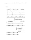 Host Cell Protein Knock-Out Cells for Production of Therapeutic Proteins diagram and image