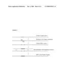 Host Cell Protein Knock-Out Cells for Production of Therapeutic Proteins diagram and image