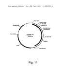 Compositions for degrading cellulosic material diagram and image