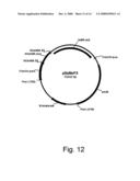 Compositions for degrading cellulosic material diagram and image