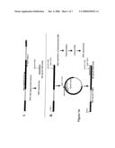 Microbial Strains Producing Sphingoid Bases or Derivatives Thereof diagram and image