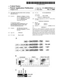 Methods For Transfecting Natural Killer Cells diagram and image