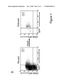 Methods For Transfecting Natural Killer Cells diagram and image