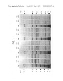 Compositions and methods for diagnosis and treatment for type 2 diabetes diagram and image