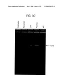 Compositions and methods for diagnosis and treatment for type 2 diabetes diagram and image