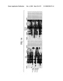 Compositions and methods for diagnosis and treatment for type 2 diabetes diagram and image