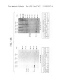 Compositions and methods for diagnosis and treatment for type 2 diabetes diagram and image