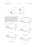 Glycopegylated erythropoietin diagram and image