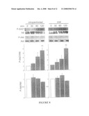 Method For Treating Huntington s Disease by Inhibiting Dephosphorylation of Huntingtin at S421 diagram and image