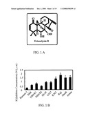 Application of Eriocalyxin B in the Manufacture of Medicaments For Treating Leukemia diagram and image