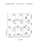 Application of Eriocalyxin B in the Manufacture of Medicaments For Treating Leukemia diagram and image