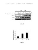 Application of Eriocalyxin B in the Manufacture of Medicaments For Treating Leukemia diagram and image