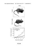 Application of Eriocalyxin B in the Manufacture of Medicaments For Treating Leukemia diagram and image