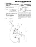 METHOD AND APPARATUS FOR DELIVERING AN AGENT TO A KIDNEY diagram and image