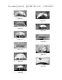 Design, Synthesis and Assembly of Synthetic Nucleic Acids diagram and image