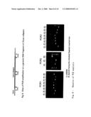 Method for Screening Genomic Dna Fragments diagram and image