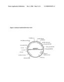 Transgenic plants with enhanced agronomic traits diagram and image