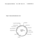 Transgenic plants with enhanced agronomic traits diagram and image